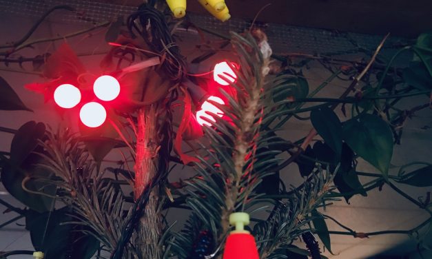 What Tops Your Christmas Tree!